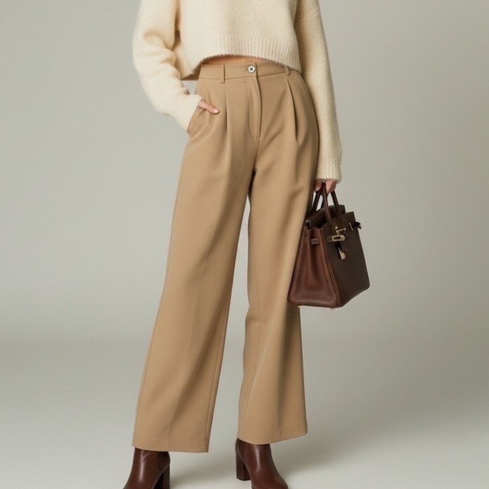 Kit And Ace Wide Leg Dress Pants Pleated Beige Oat Quiet Luxury Old Money 28X31